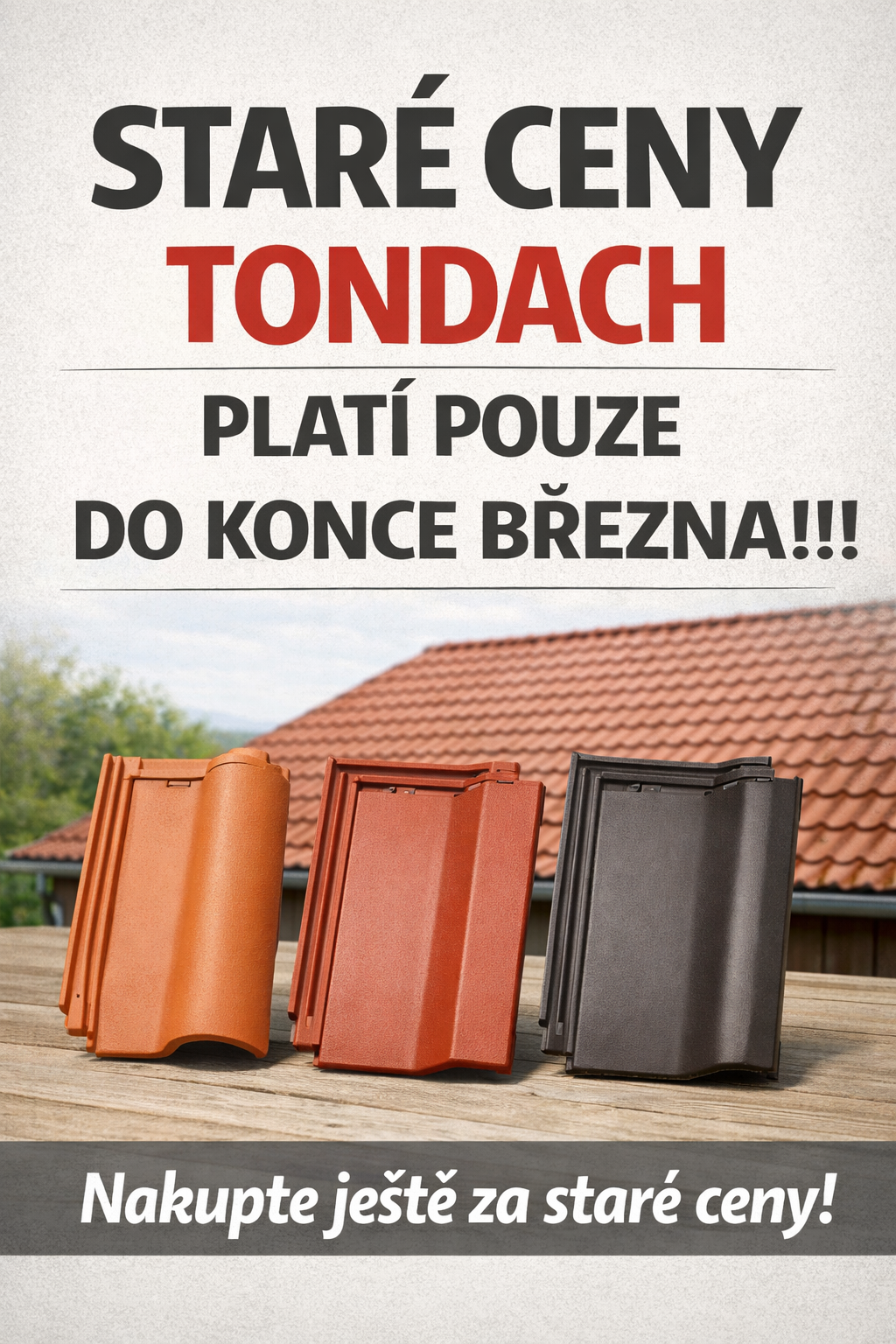 Staré ceny TONDACH platí jen do konce února