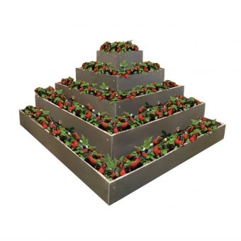 TRANSFORM Pyramida na jahody 2x2x1 m, S